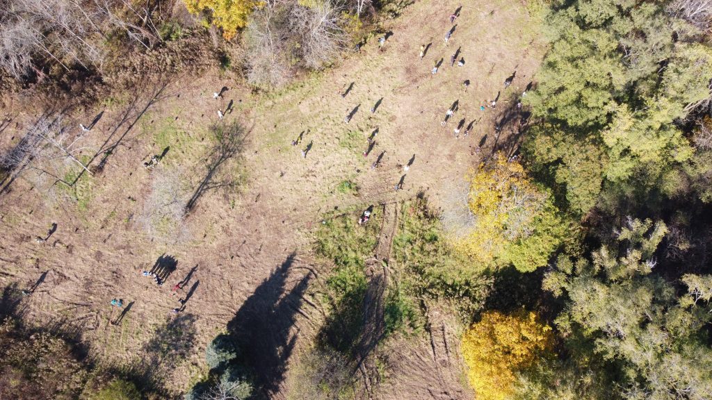 Aerial view of McMaster Carbon Sink Forest